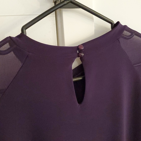 Sheer Lantern Sleeve Dress - Picture 9 of 12